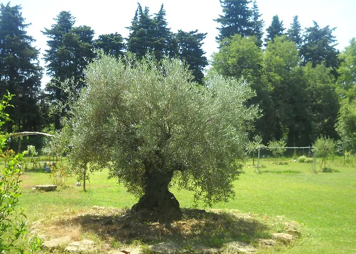 Appartement Dans Mas Provencal