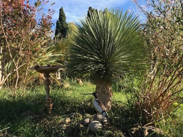 Dans Mas Provencal Apartment Grans