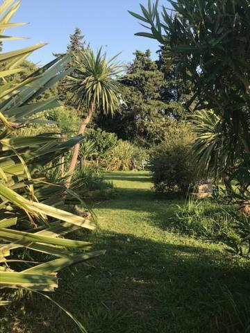 Dans Mas Provencal Apartment
