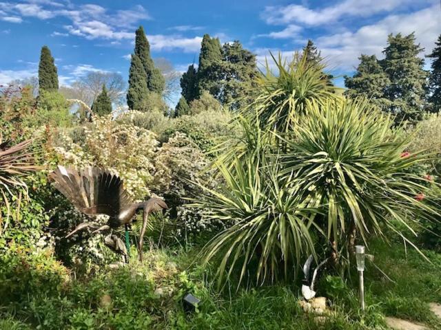 Dans Mas Provencal Grans
