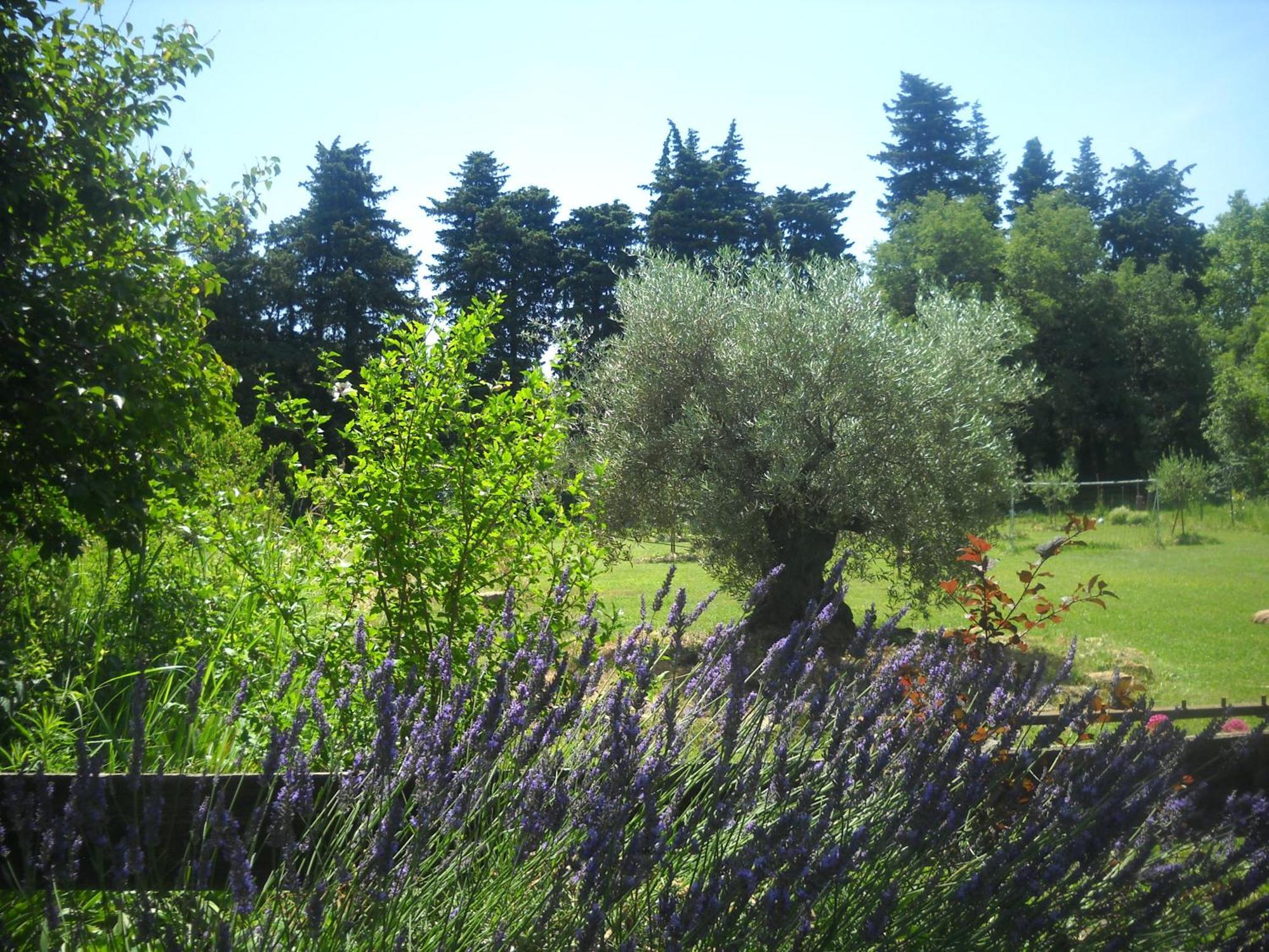 Dans Mas Provencal Grans