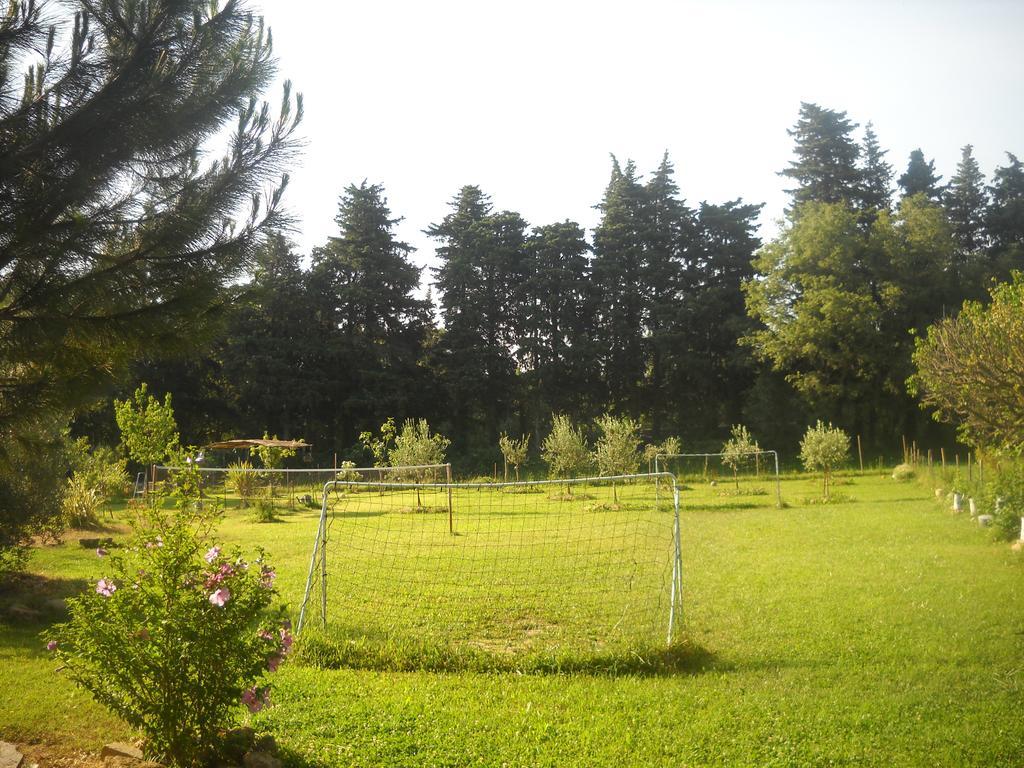 Dans Mas Provencal *