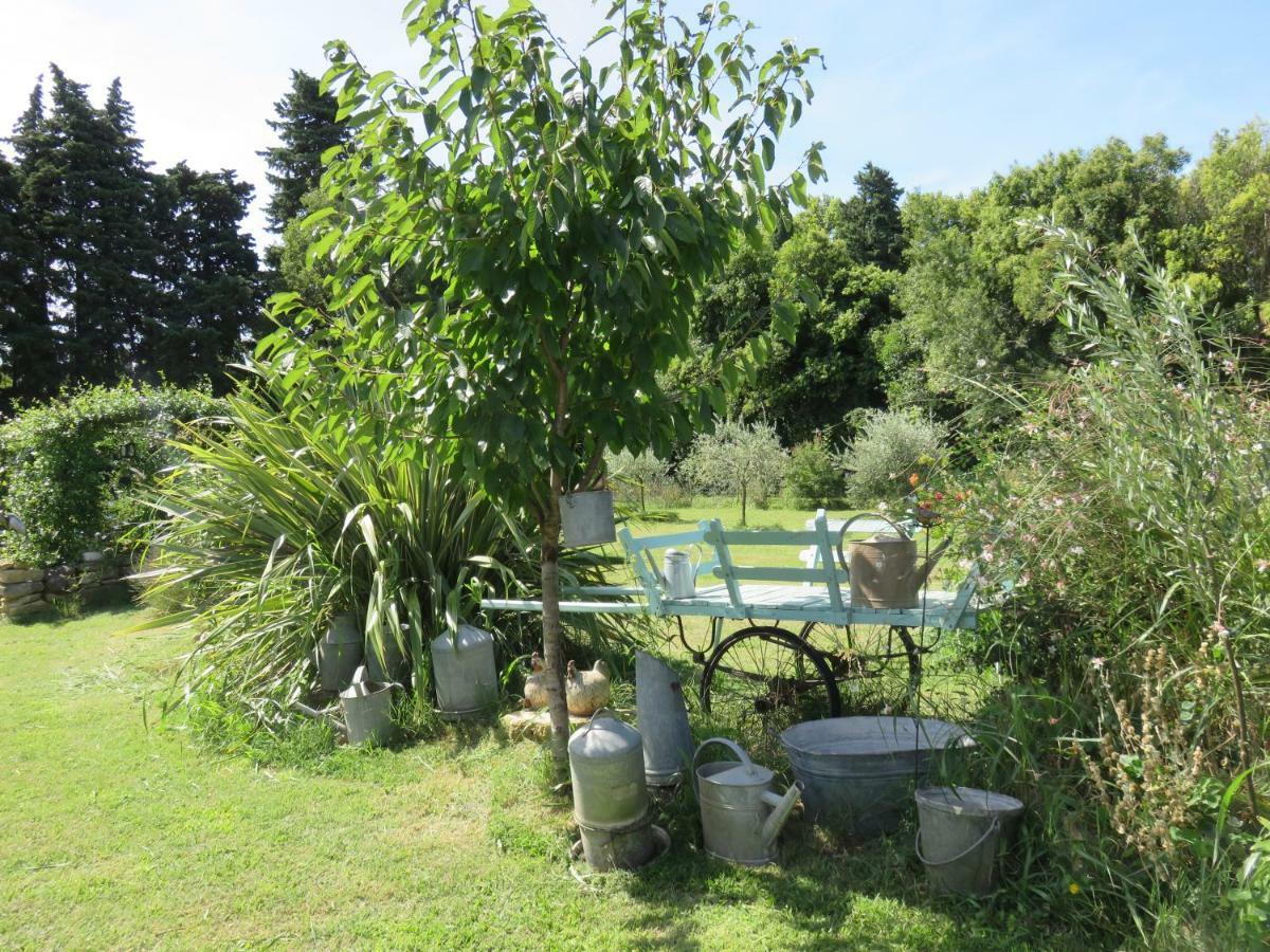 Dans Mas Provencal *